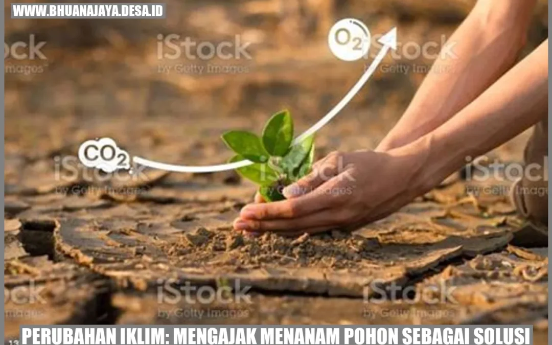 Perubahan Iklim Mengajak Menanam Pohon Sebagai Solusi Desa Bhuana