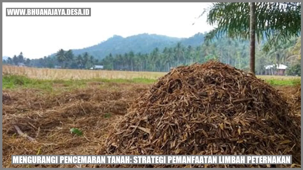 Mengurangi Pencemaran Tanah: Strategi Pemanfaatan Limbah Peternakan