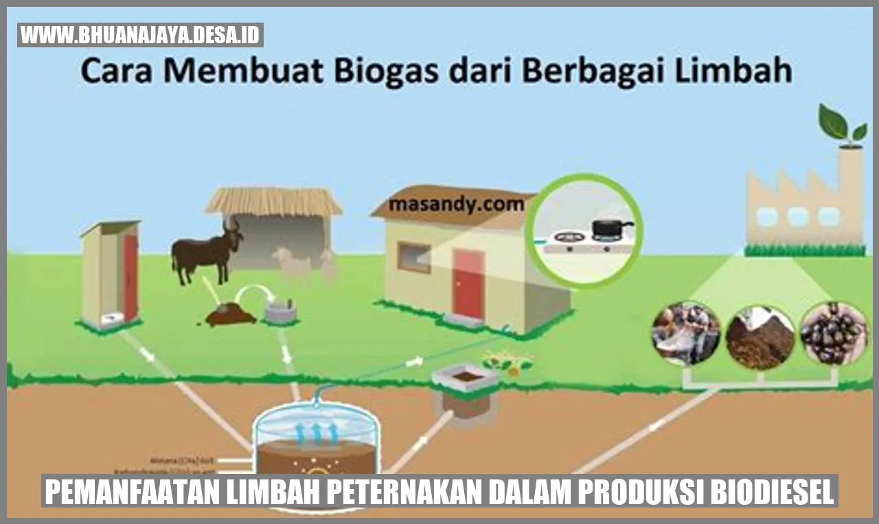 Penggunaan Limbah Peternakan dalam Produksi Biodiesel
