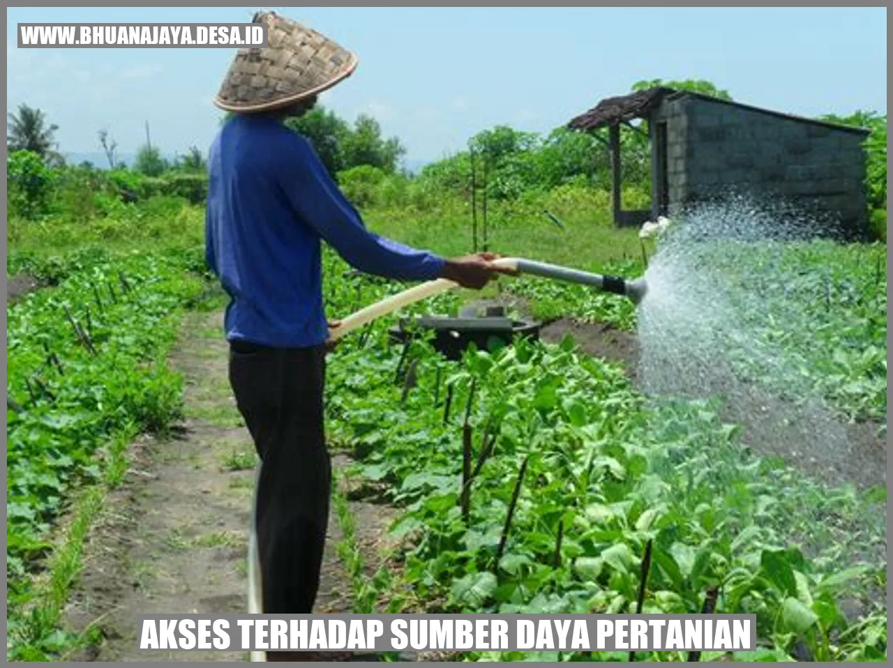 Akses terhadap sumber daya pertanian