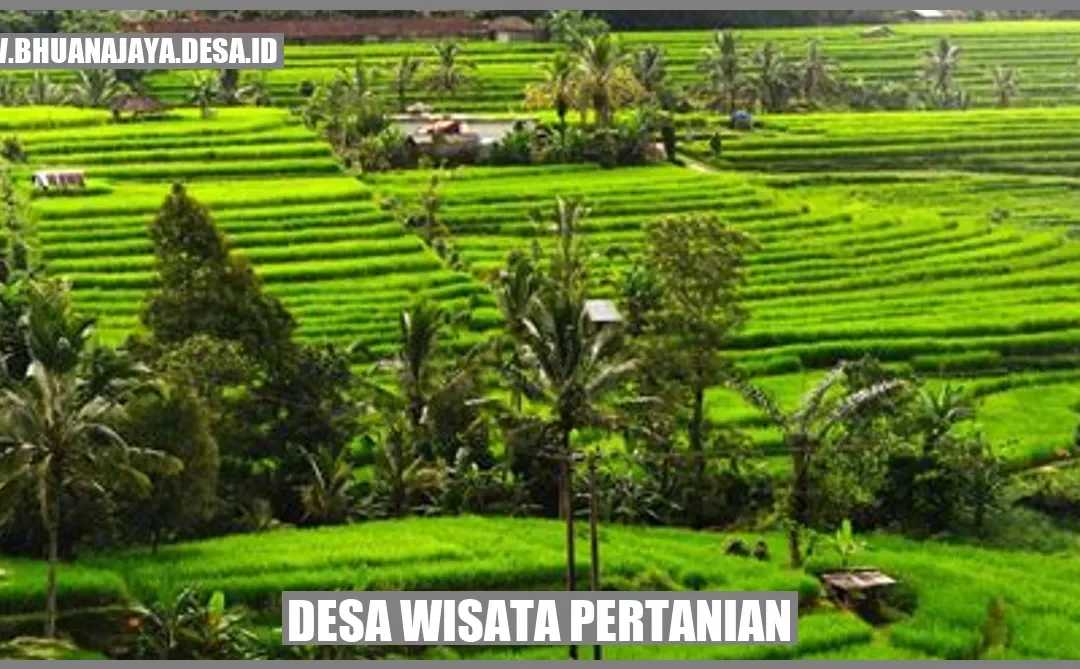 Desa Wisata Pertanian Menikmati Pesona Alam Dan Kehidupan Pedesaan Desa Bhuana Jaya Kab