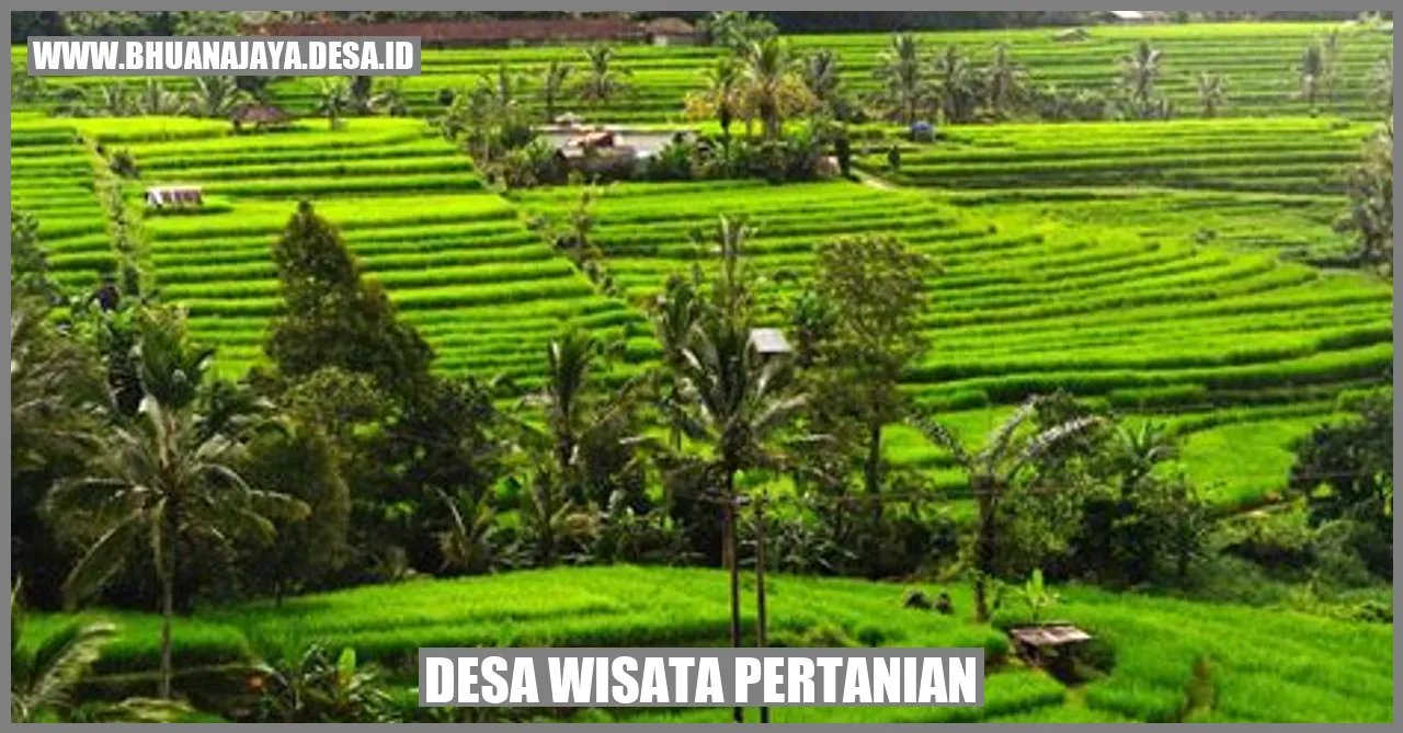 Gambar Pertanian Desa Wisata