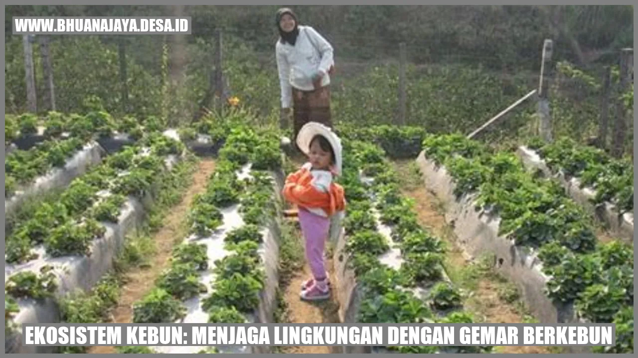 Ekosistem Kebun: Menjaga Lingkungan dengan Gemar Berkebun