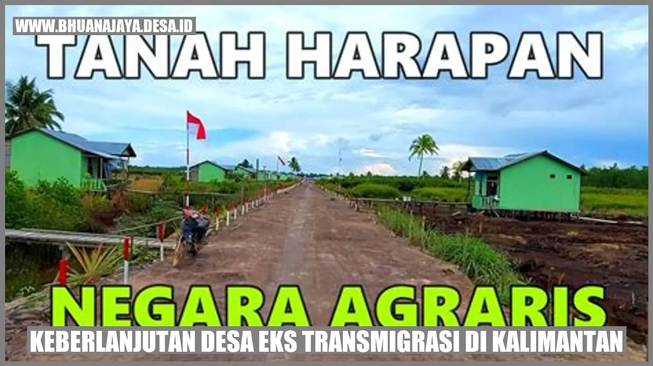 Gambar representatif desa eks transmigrasi di Kalimantan