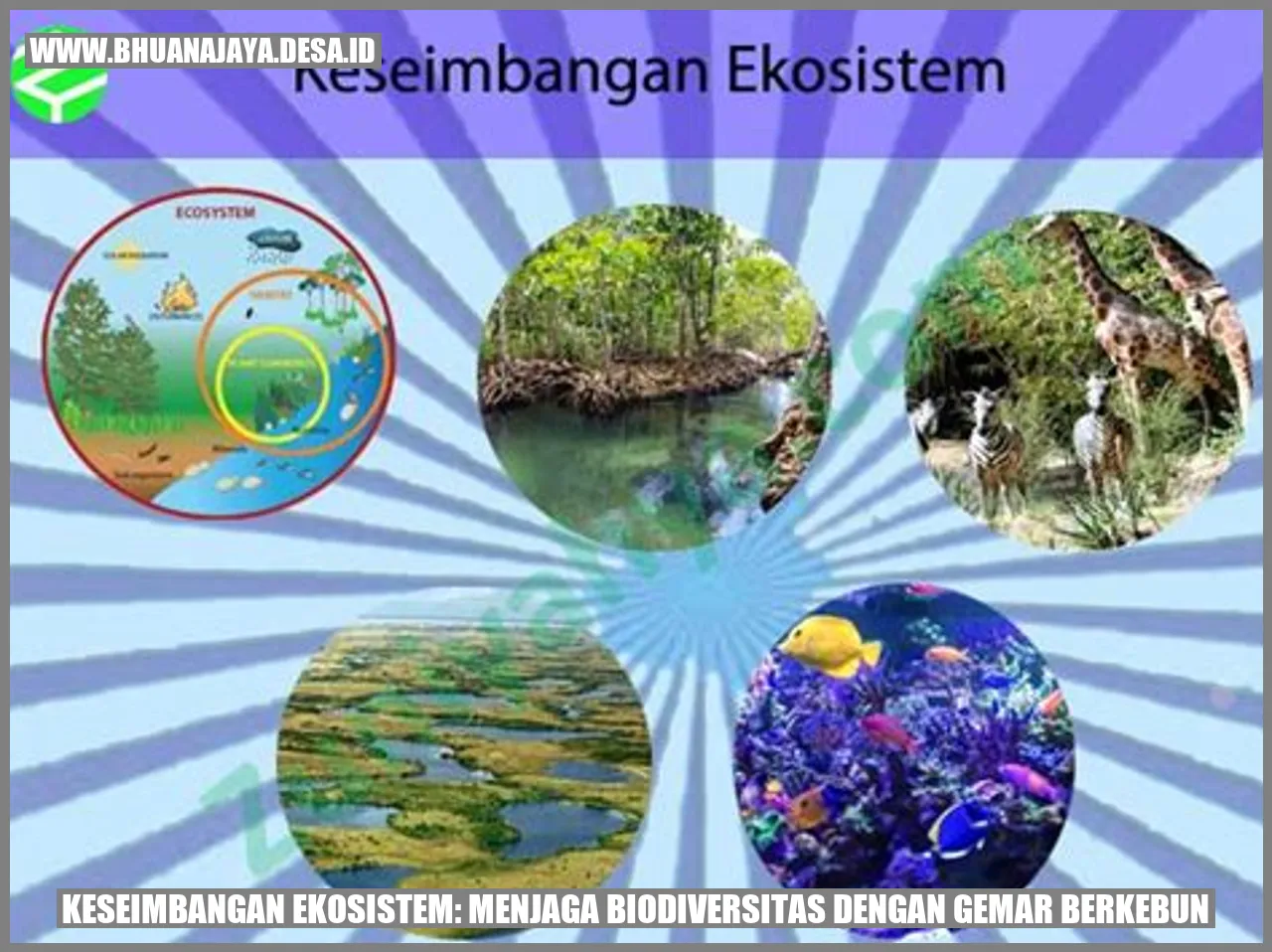 Keseimbangan Ekosistem: Menjaga Biodiversitas dengan Gemar Berkebun