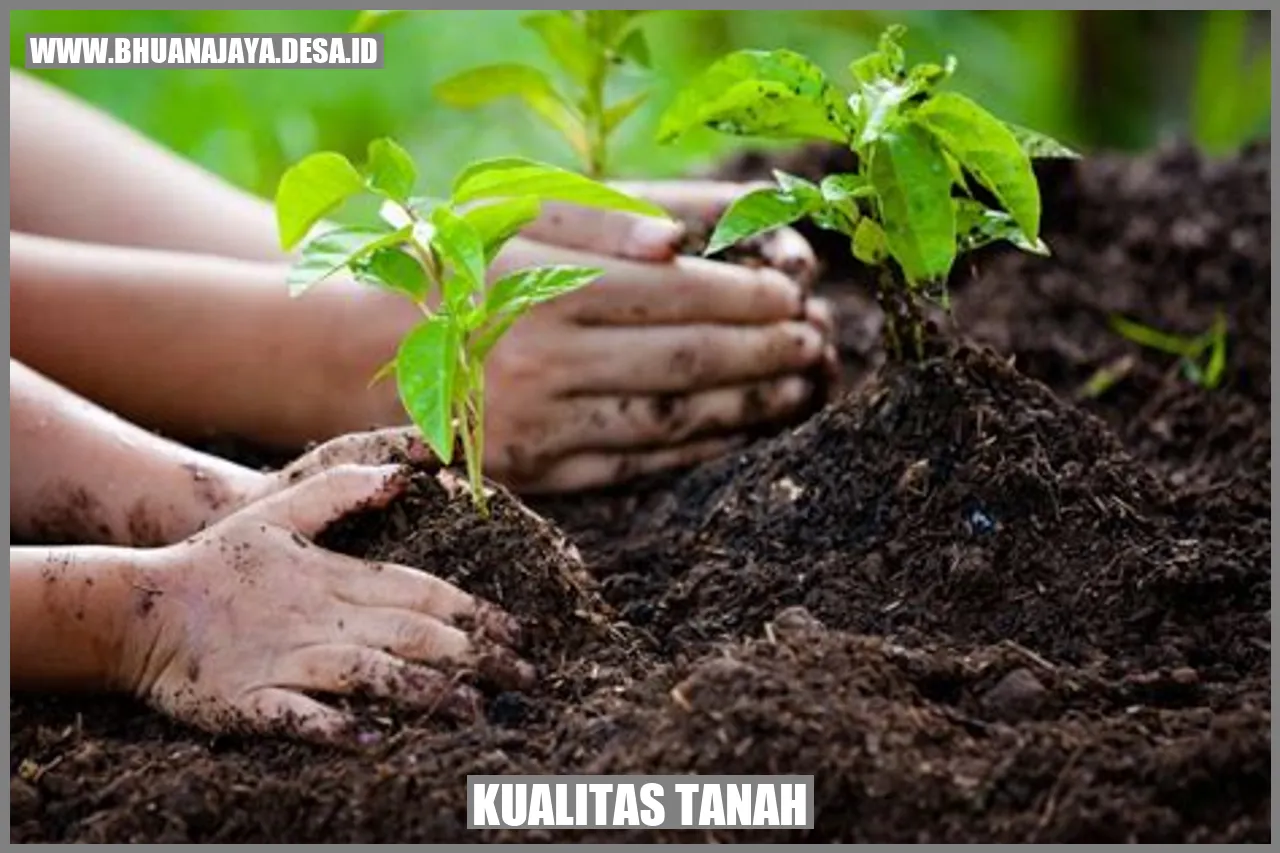 Gambar Kualitas Tanah