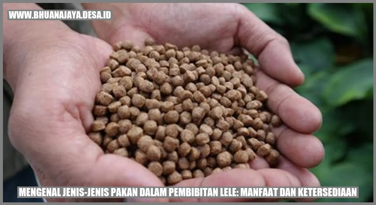 Mengenal Jenis-Jenis Pakan dalam Pembibitan Lele: Manfaat dan Ketersediaan