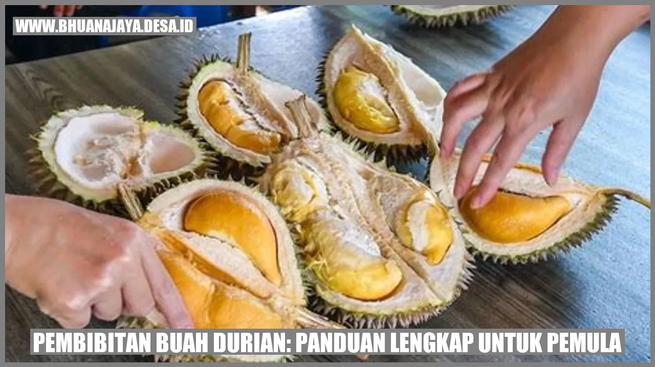 Pembibitan Buah Durian: Panduan Lengkap untuk Pemula