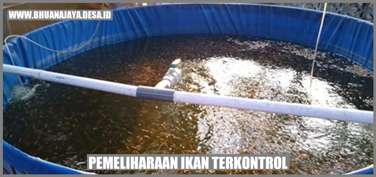 pemeliharaan ikan terkontrol