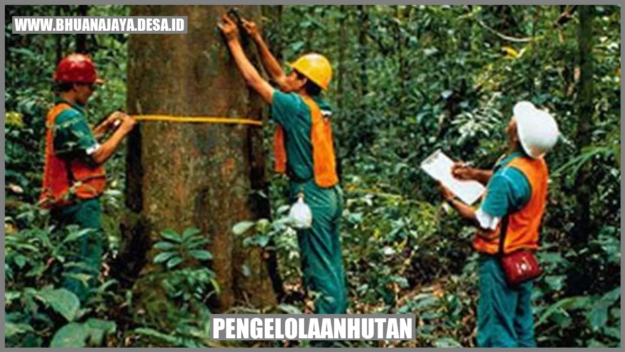 Pengelolaan Hutan yang Baik untuk Menjaga Keberlanjutan Produksi Kayu dan Hasil Hutan Lainnya