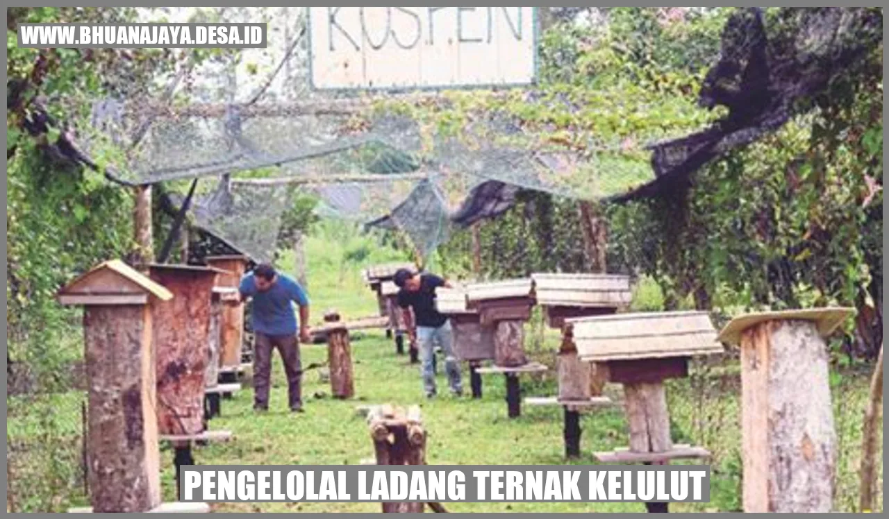 Gambar Kelulut