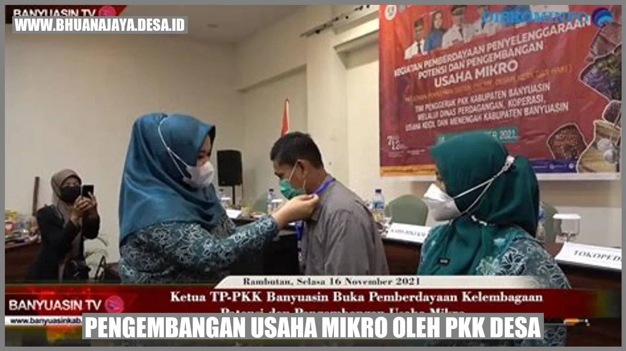 Pengembangan Usaha Mikro oleh PKK Desa