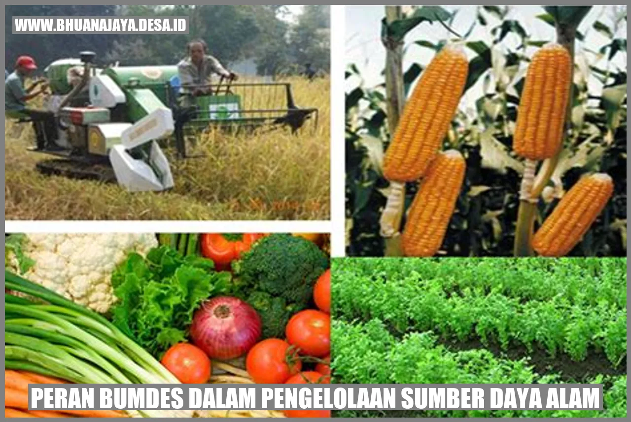 Peran BUMDES dalam pengelolaan sumber daya alam