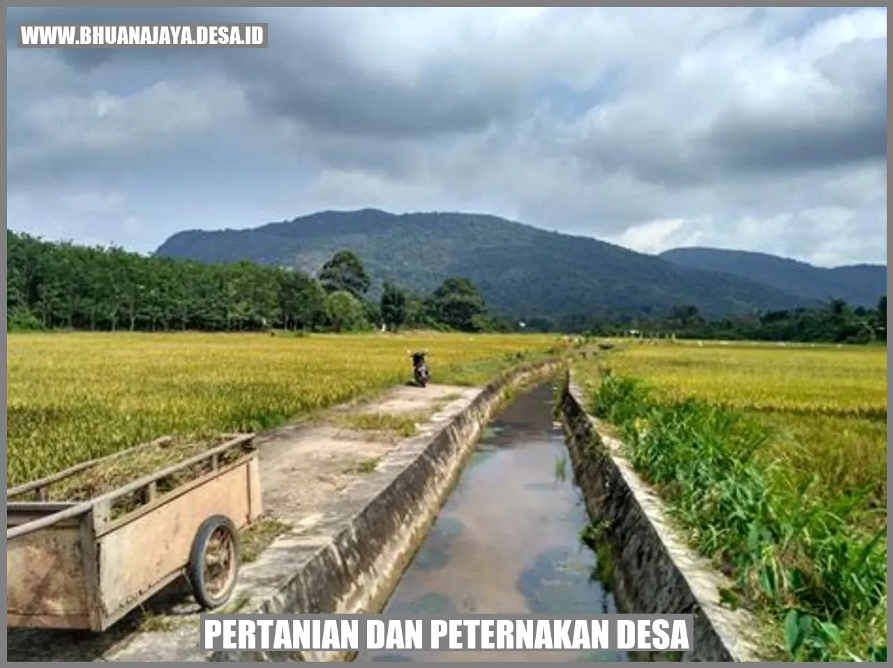 Pertanian dan peternakan desa