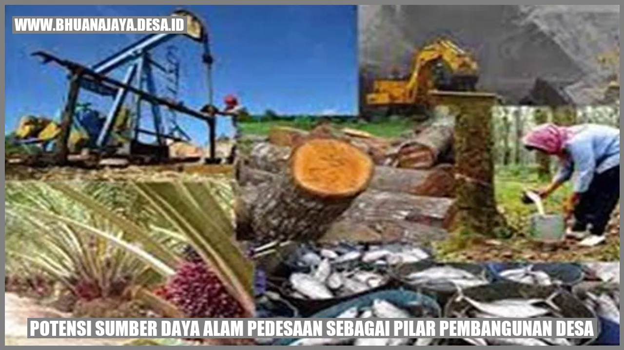 Potensi Sumber Daya Alam Pedesaan sebagai Pilar Pembangunan Desa