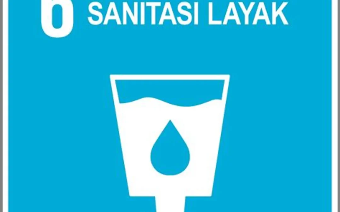 Sanitasi Layak Dan Pemanfaatan Sumber Air Bersih Di Desa Bhuana Jaya