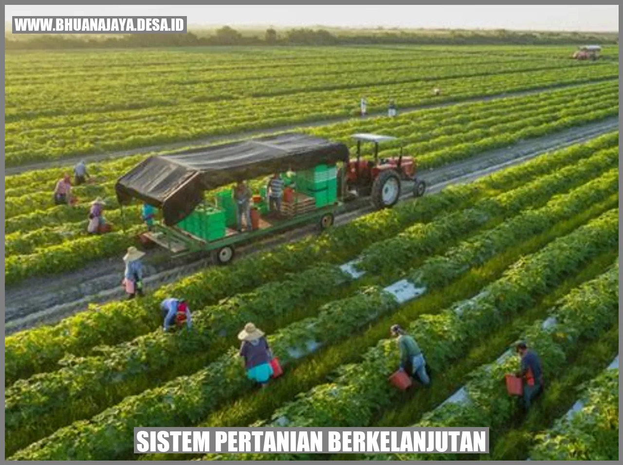 Sistem Pertanian Berkelanjutan: Menjaga Keseimbangan Alam Dan Kehidupan ...